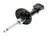 Amortisseur Shock Absorber:41602-55G50