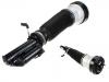 Amortisseur Shock Absorber:220 320 24 38