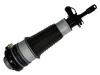 Amortiguador Shock Absorber:4F0 616 039 AA