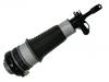 Amortisseur Shock Absorber:4F0 616 040 AA