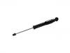 Shock Absorber:3CD 513 049 A